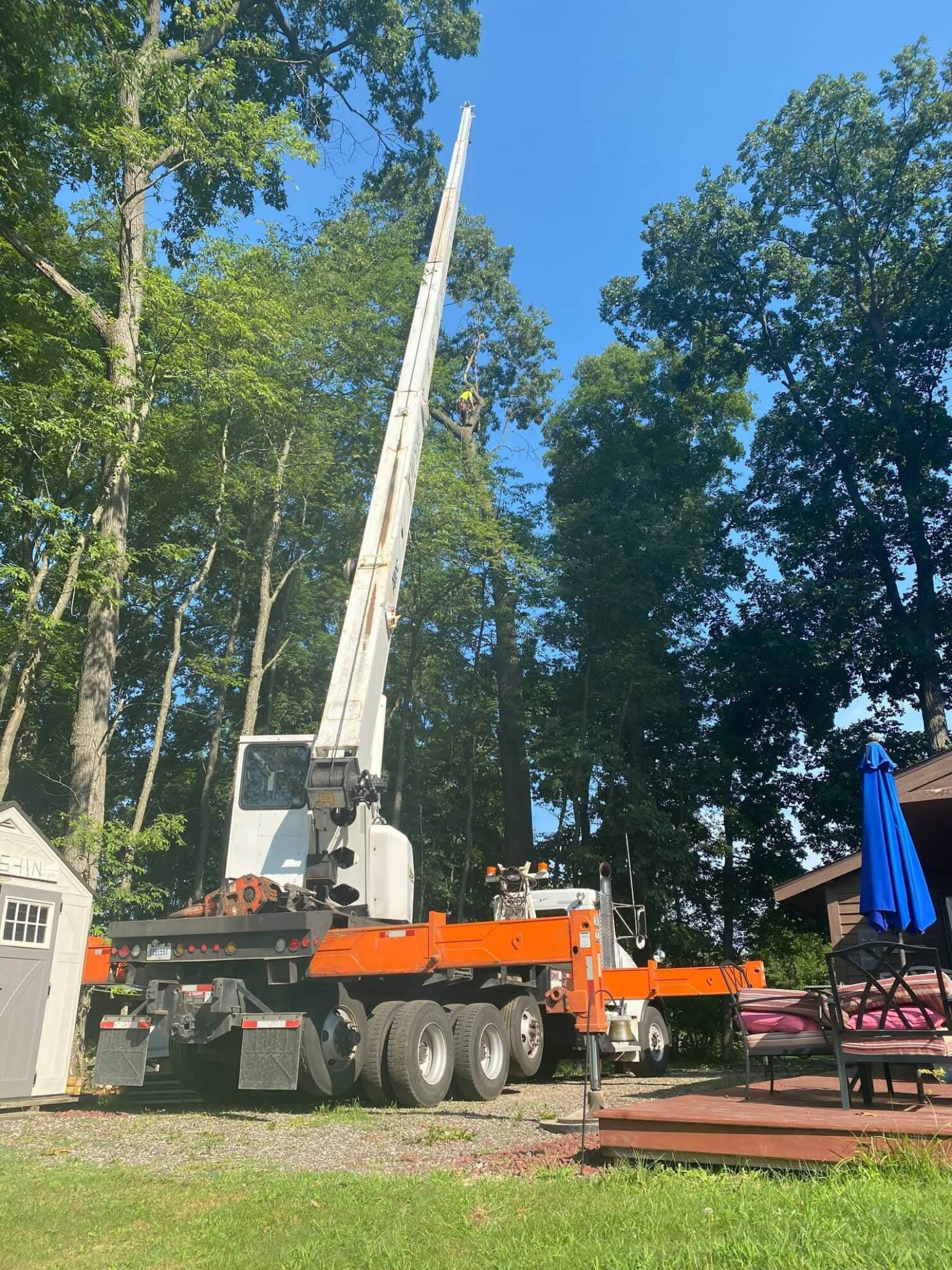 Our Equipment Tree Service Experts American Arbor LLC