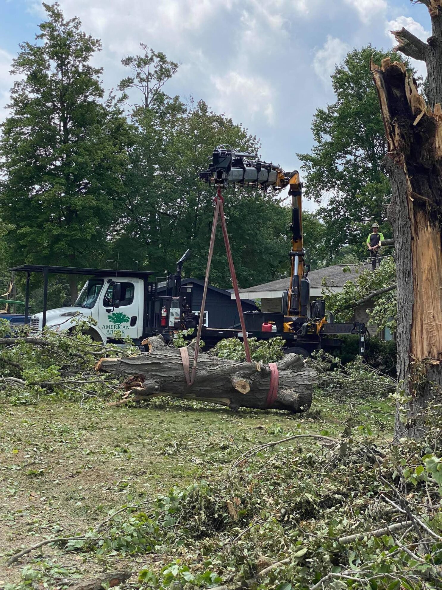 Our Equipment Tree Service Experts American Arbor LLC