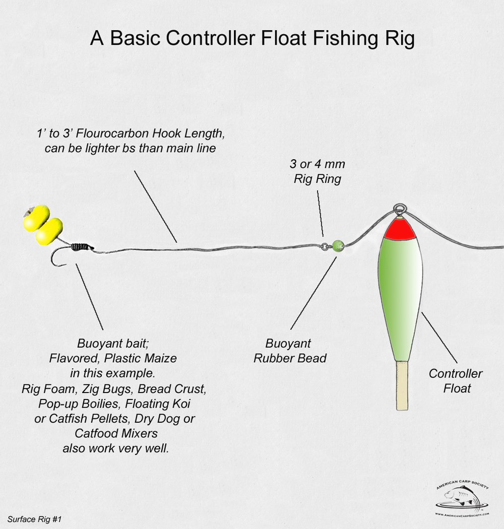 Surface Fishing — American Carp Society