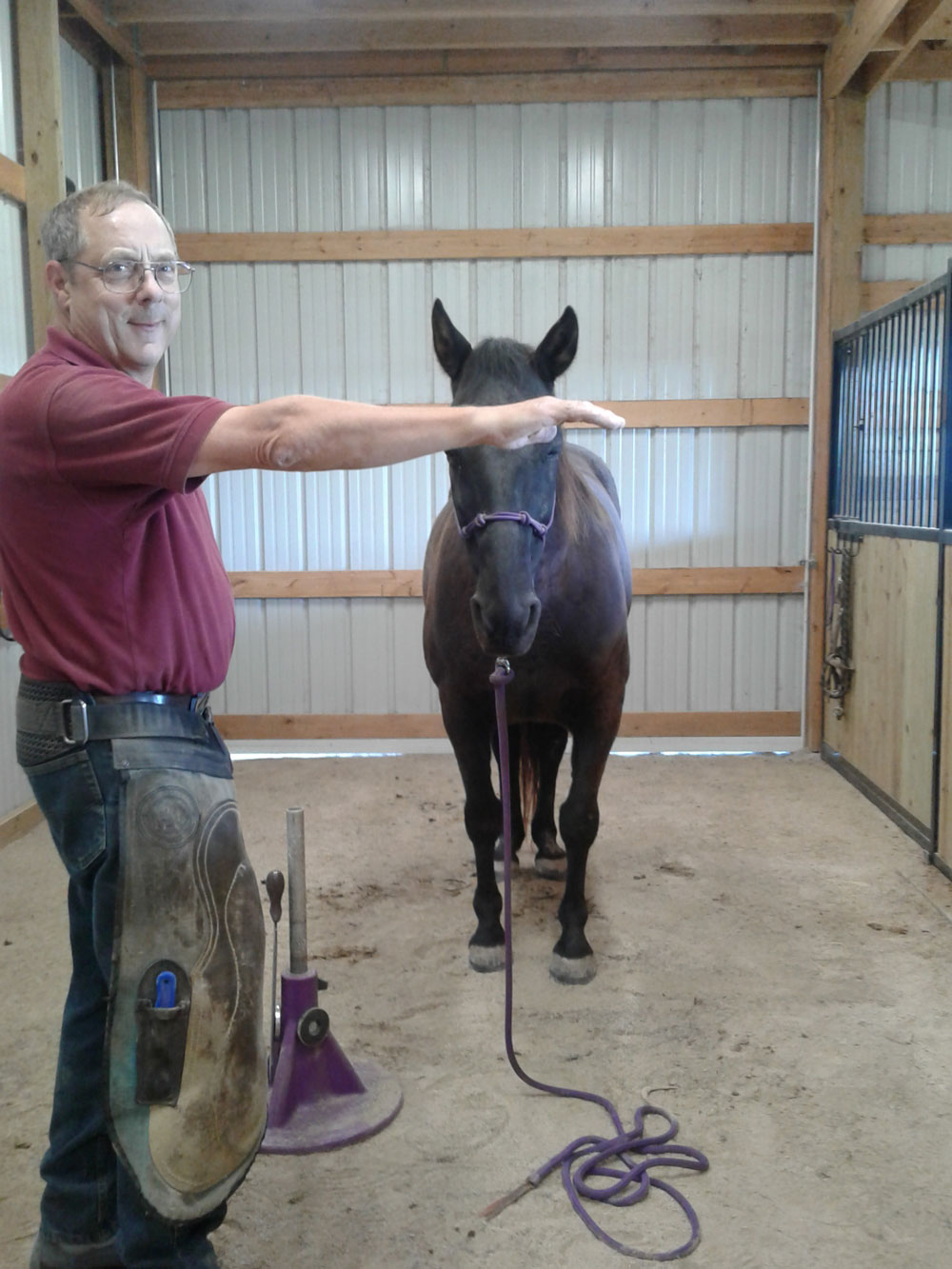 The Ideal Hoof Stand Position for Farrier and Horse Comfort