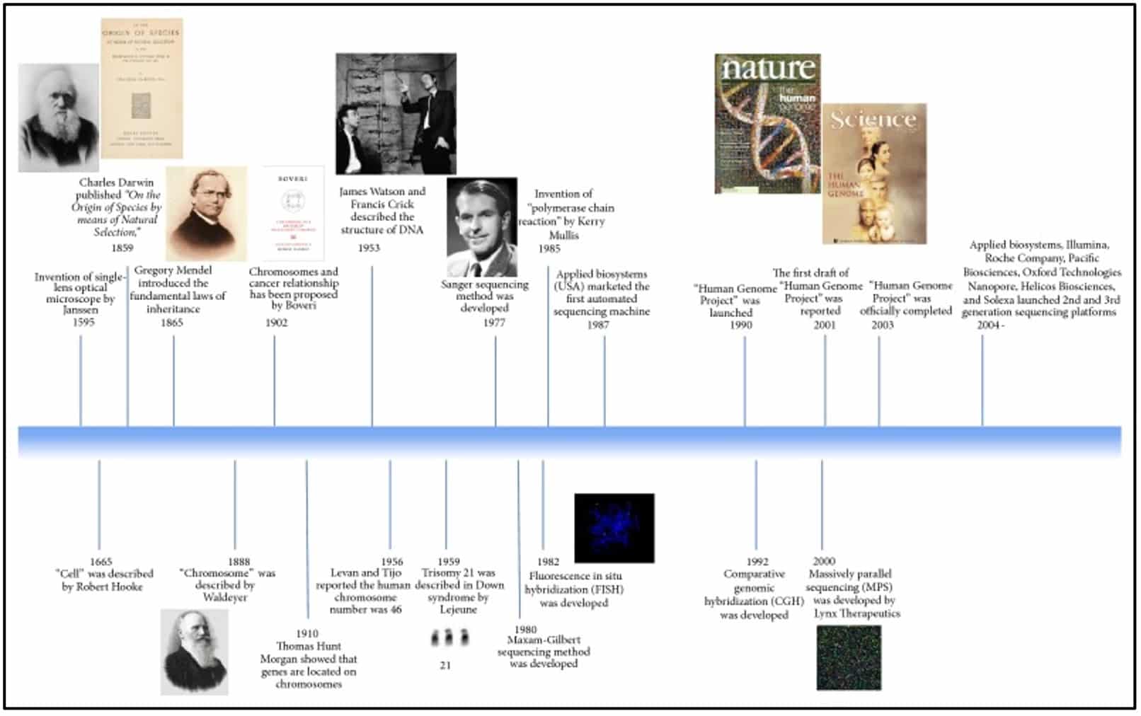 Gene Therapy Timeline