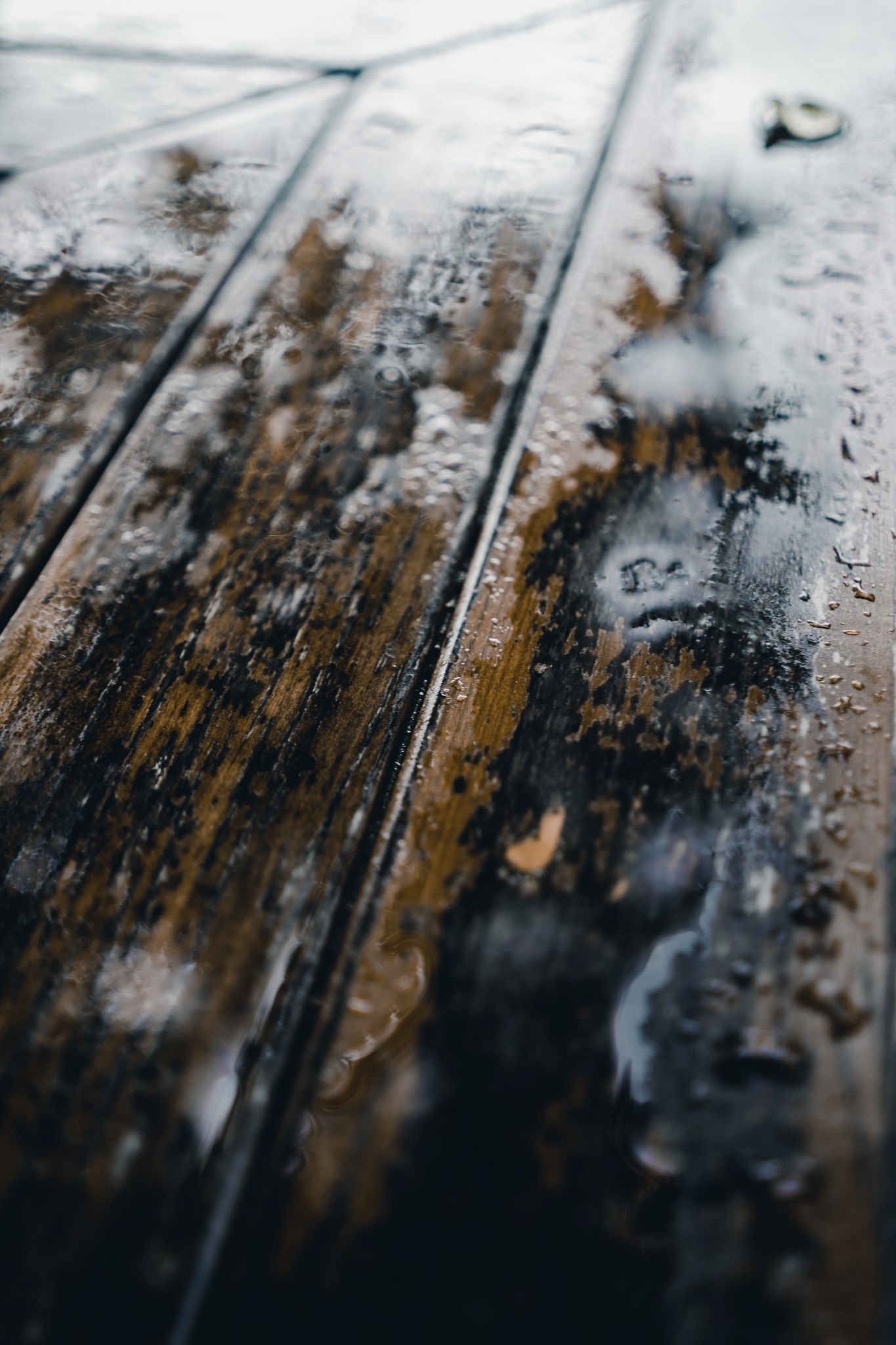 How to Remove Humidity from Your Furniture and Textiles for Proper