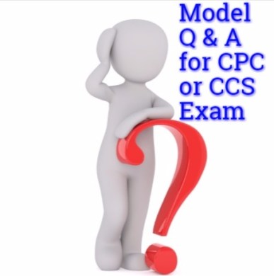 Model Question And Answers For Medical Coding Cpc Exam 2019 Medical Coding Guide