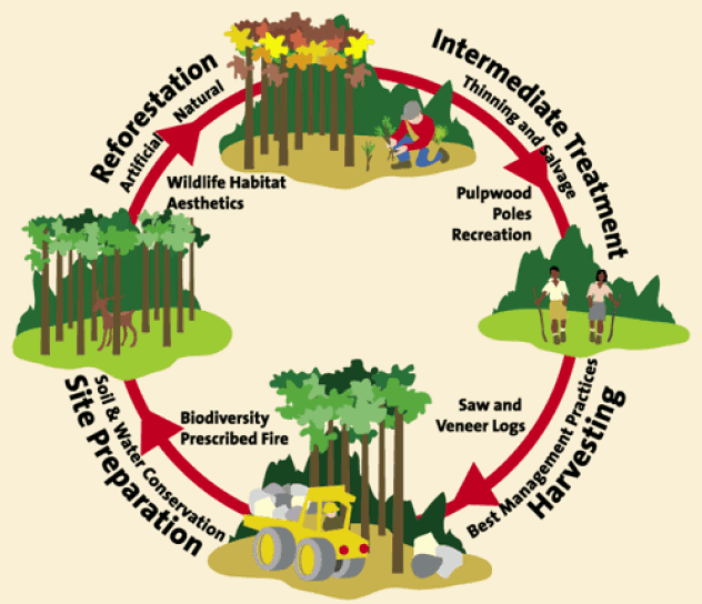 Eco Friendly Wood Products American Millwork LLC