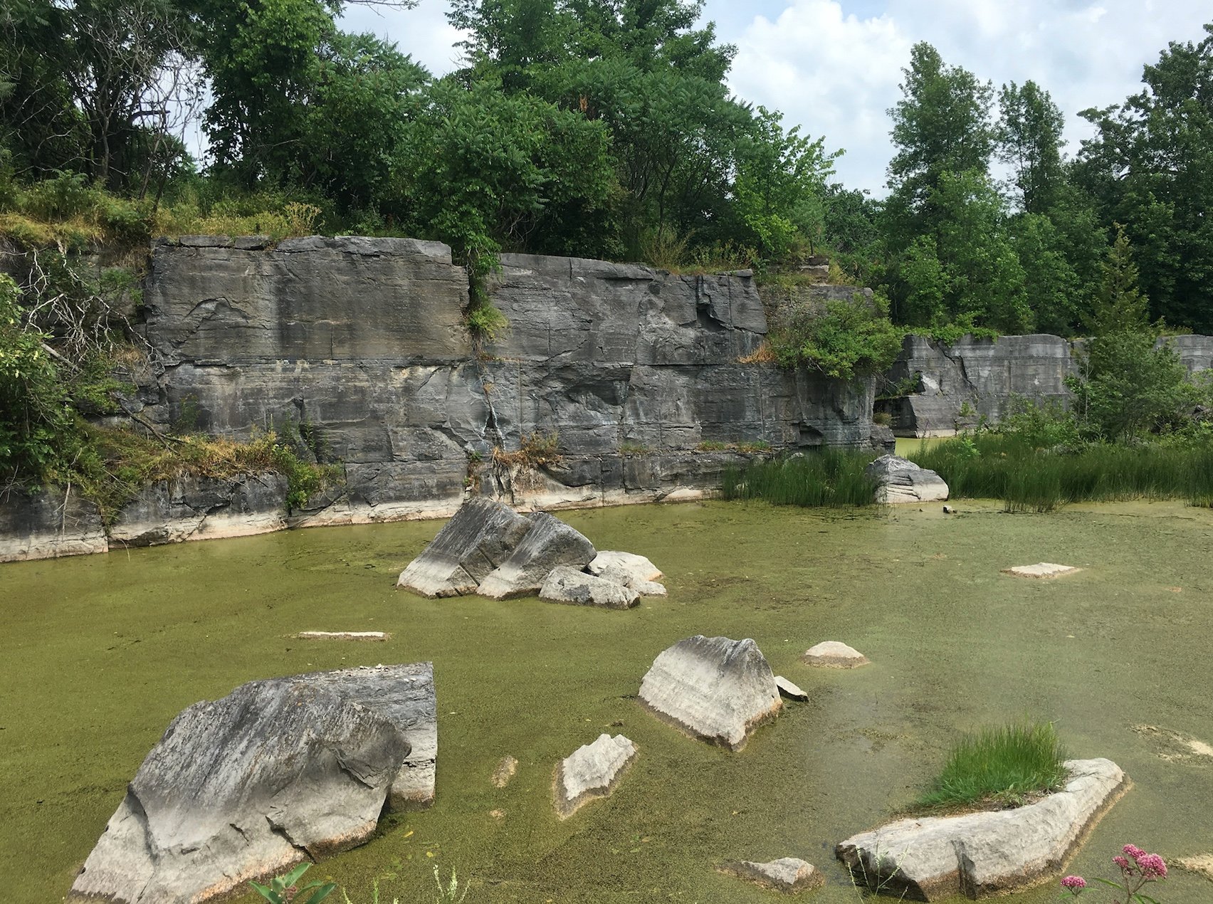 What Is the Oldest Coral Reef?