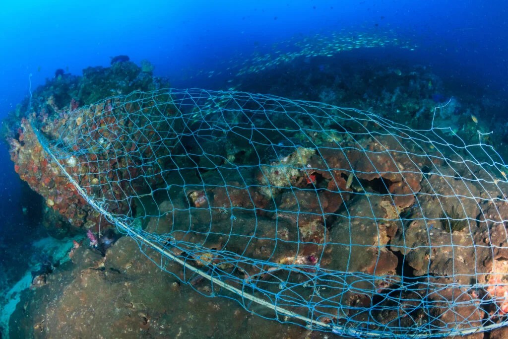 What is a Gill Net?