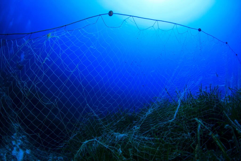 What is a Gill Net?