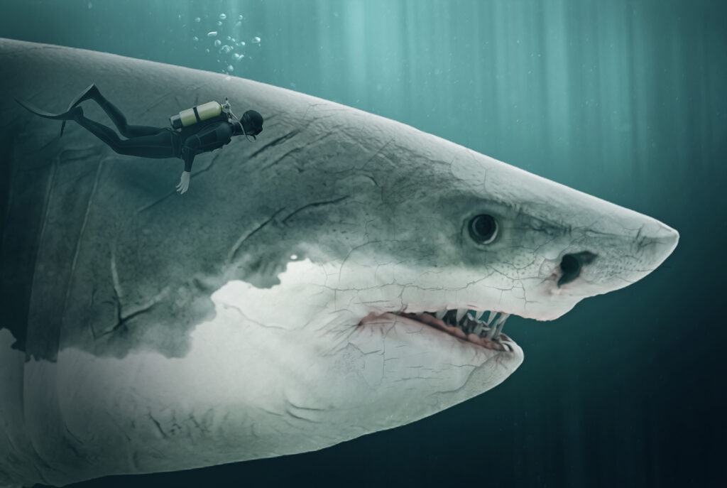 Megalodon vs Great White American Oceans