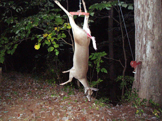 Skinning a Deer with an Air Compressor American Partisan