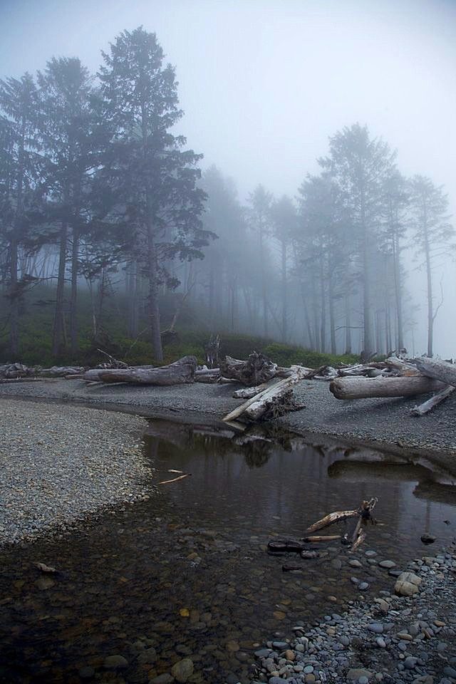 Trek to Forks, WA and Olympic National Park American Road Magazine