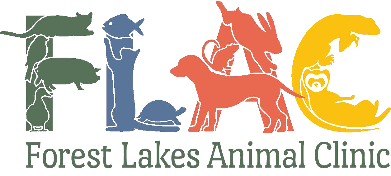 Forest Lakes Animal Clinic American Veterinary Group