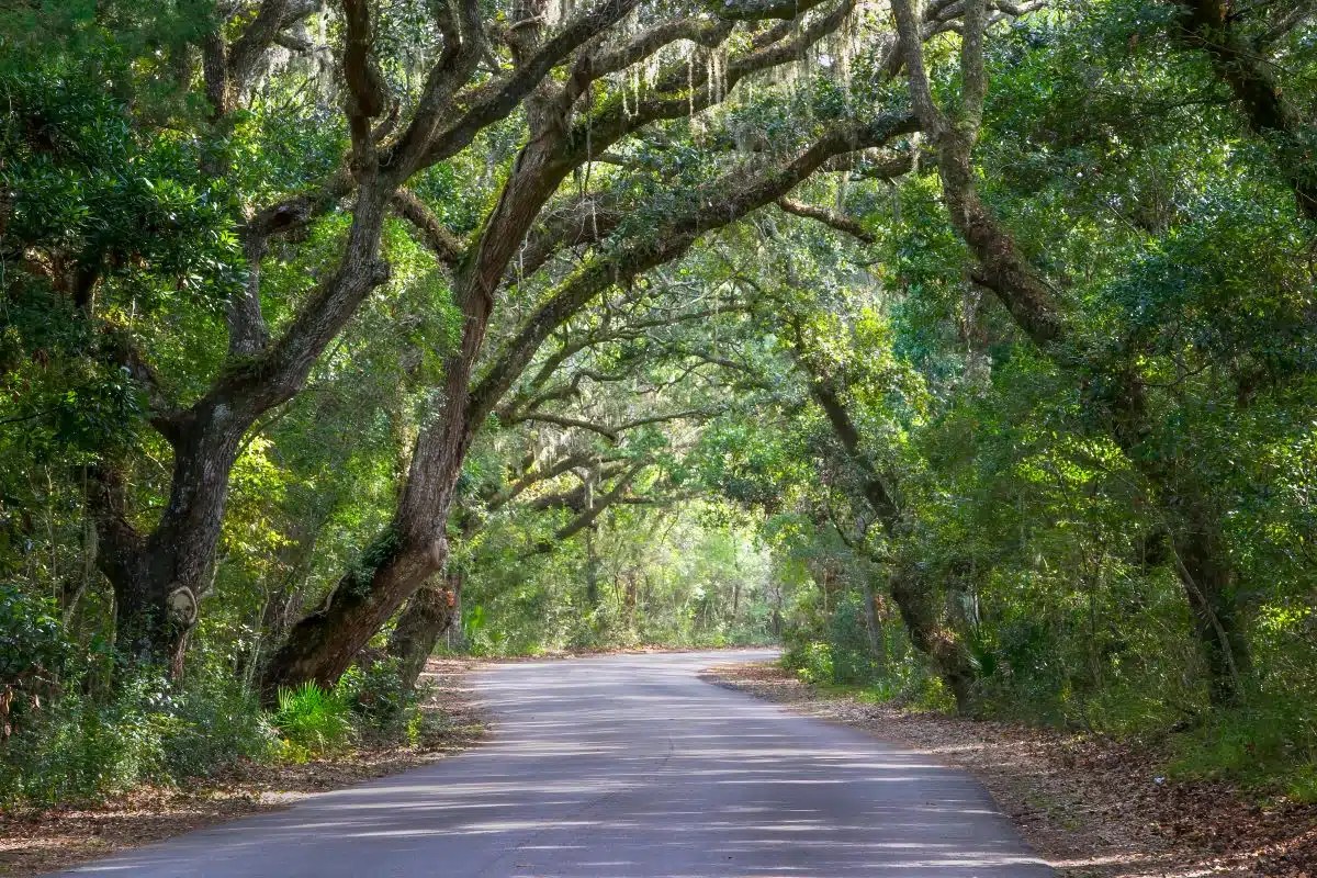 Amelia Island State Park