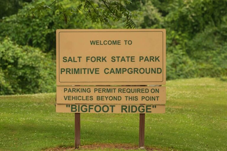 Salt Fork State Park