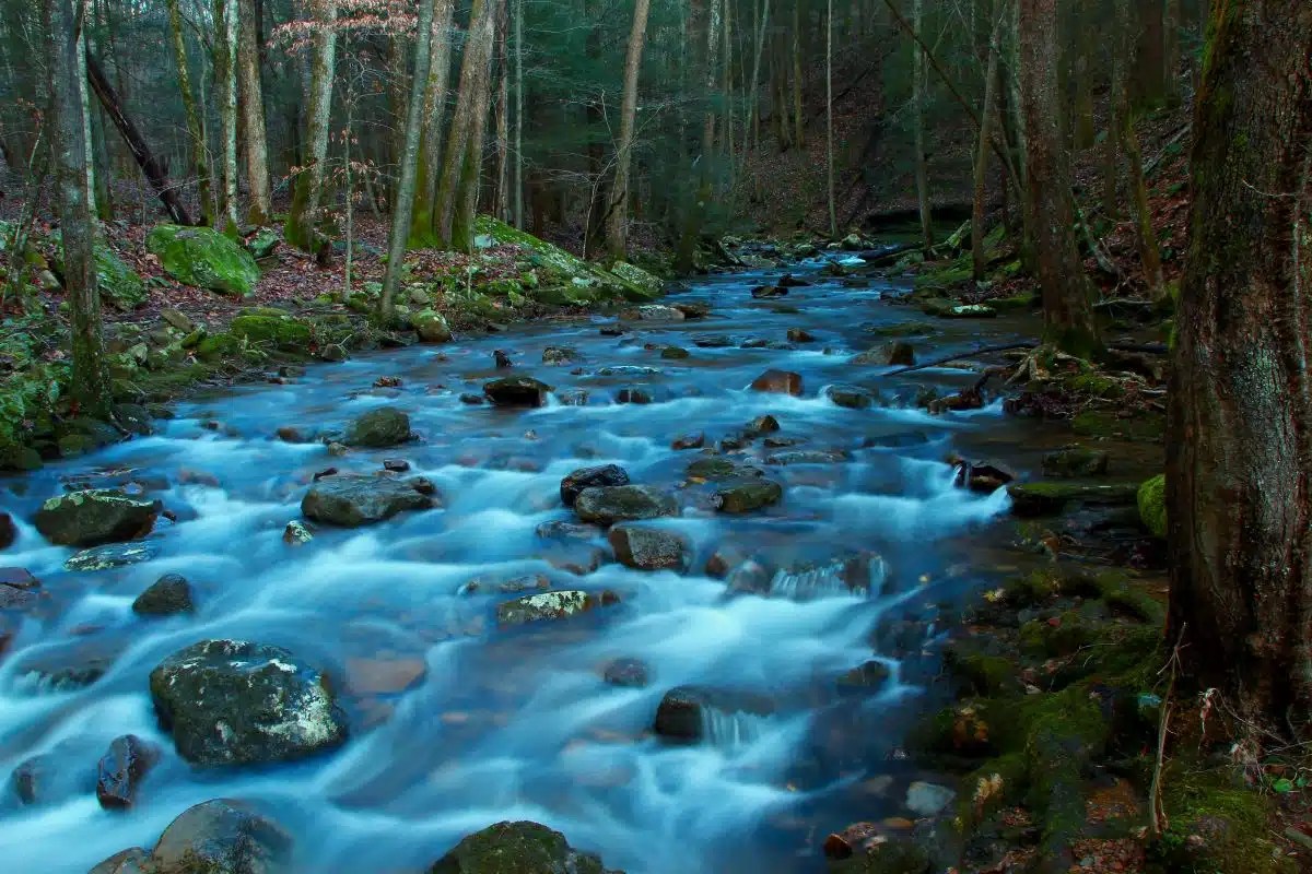 Frozen Head State Park In Wartburg, TN America's State Parks