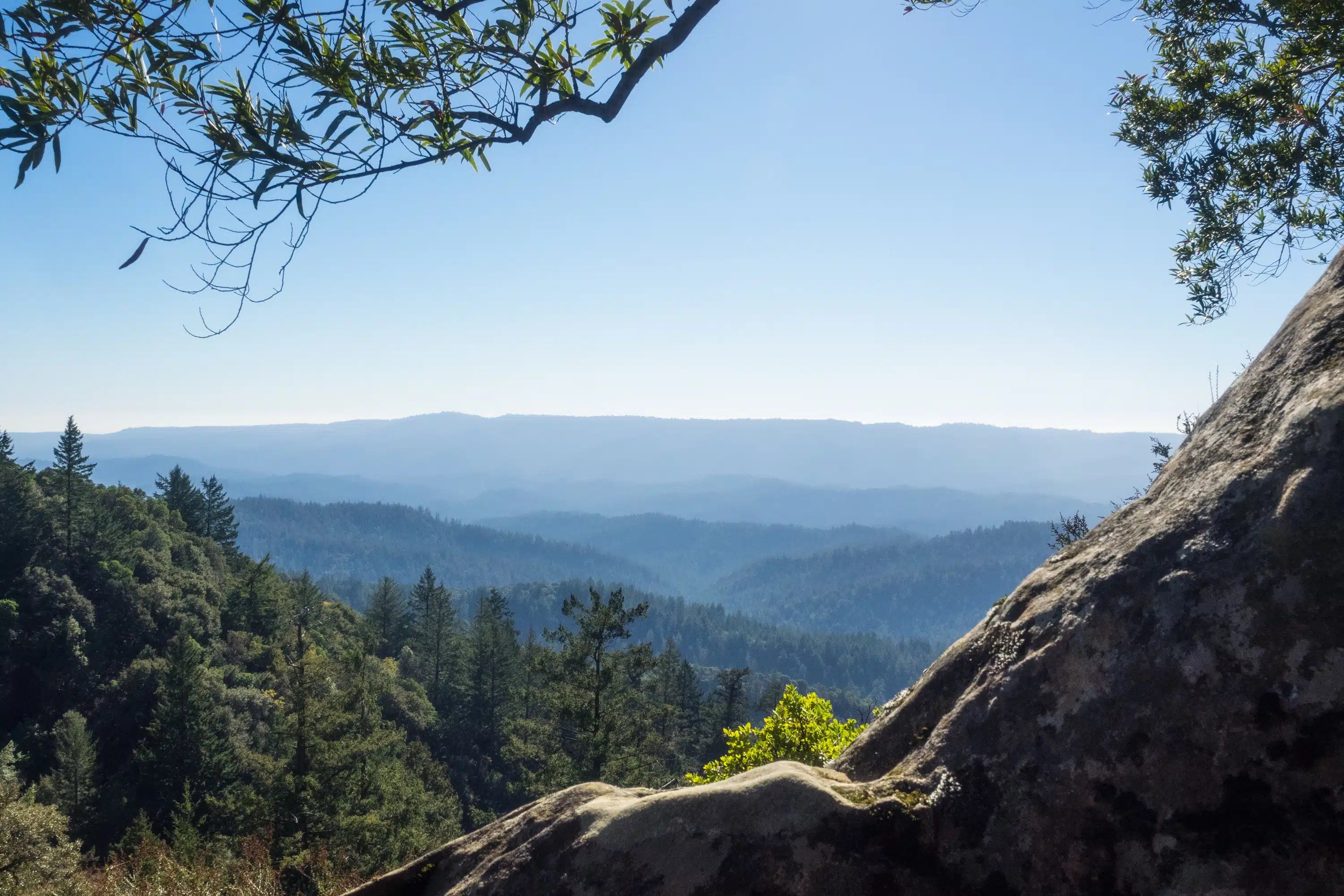 Castle Rock State Park In Los Gatos, CA America's State Parks