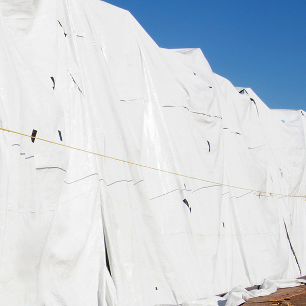 6 Mil White Dura Skrim® Reinforced Plastic Sheeting Americover