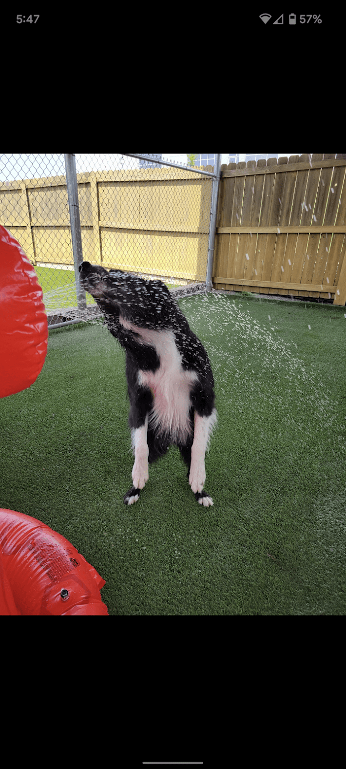 Gallery Ames, IA Ames Pet Resort