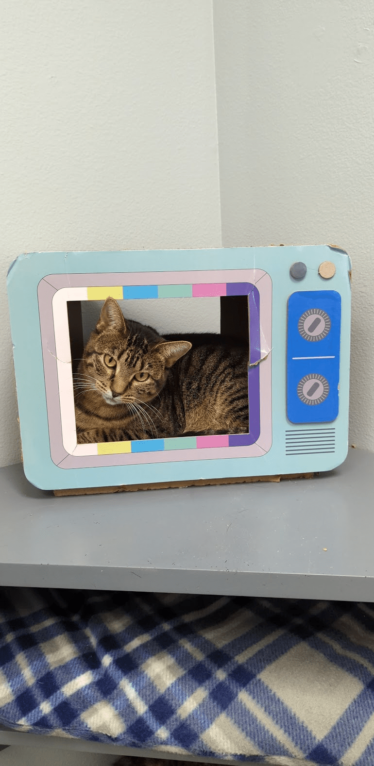 Gallery Ames, IA Ames Pet Resort