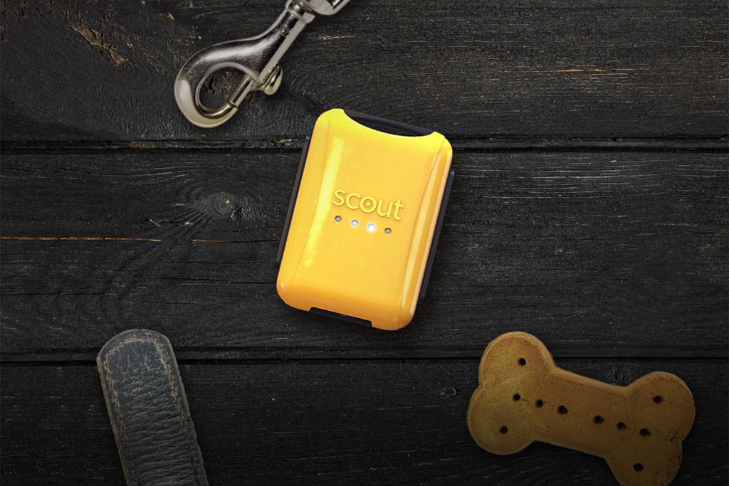 The Top 10 Gadgets For Safe, Smart Travel Amex Essentials