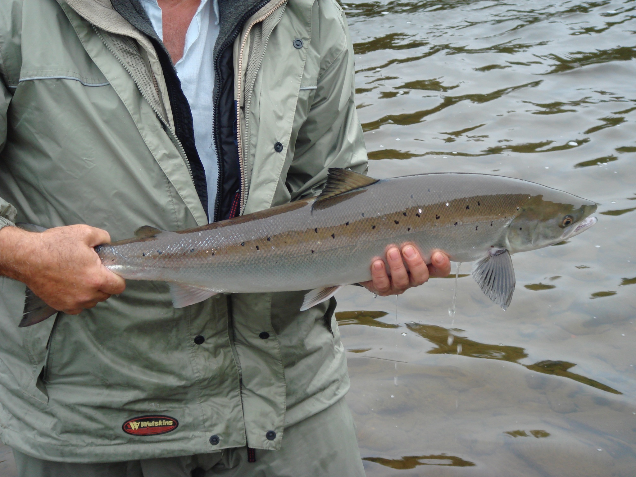 Anglers' Circle Spotlight Woods King IV American Museum Of Fly Fishing