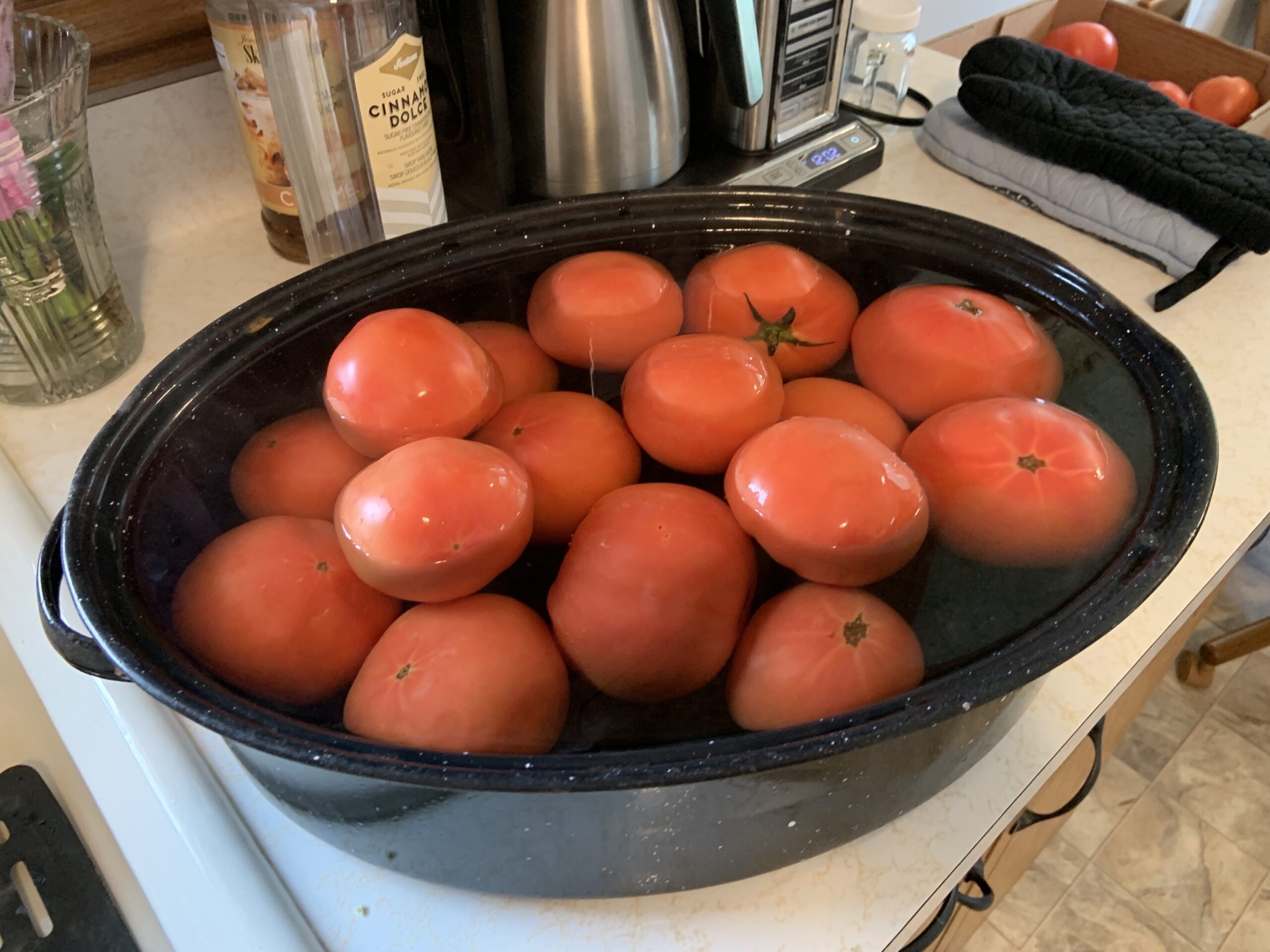Canning Tomatoes Old Fashion Grandma Way [Open Kettle] My First Time