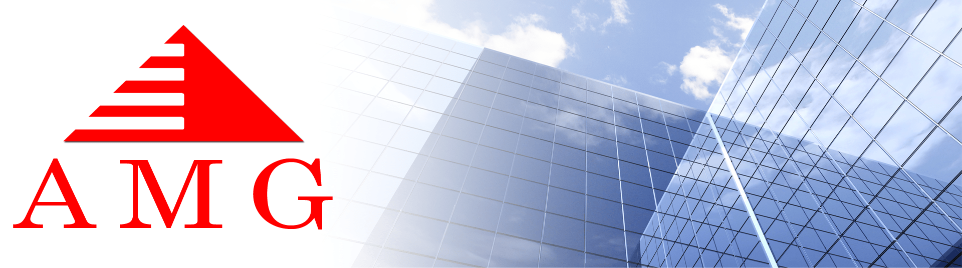 American Management Group, LLC