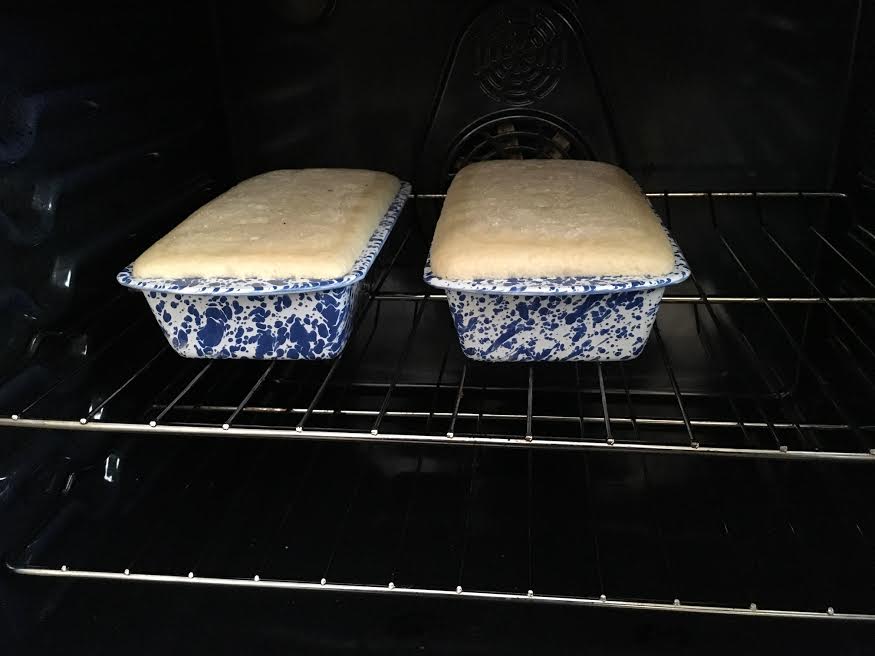 The Amish Cook Savoring Salt Rising Bread Amish 365