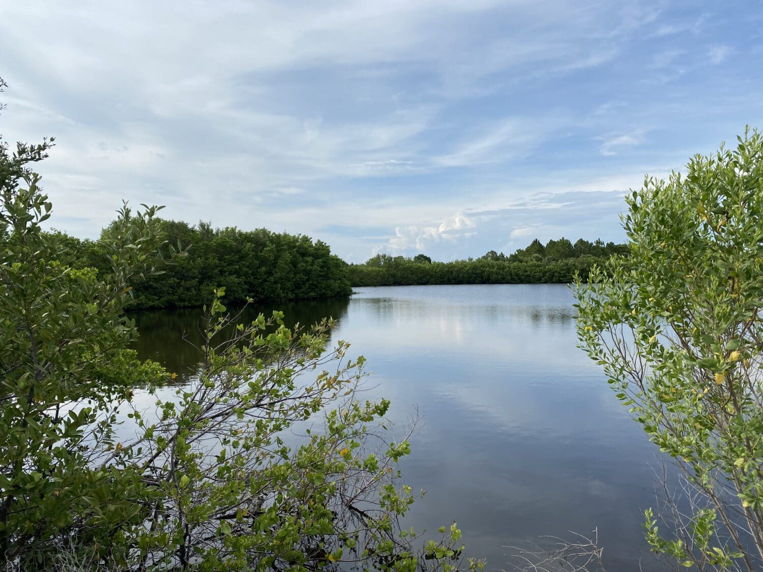 Robinson Preserve honored by Tripadvisor AMI Sun