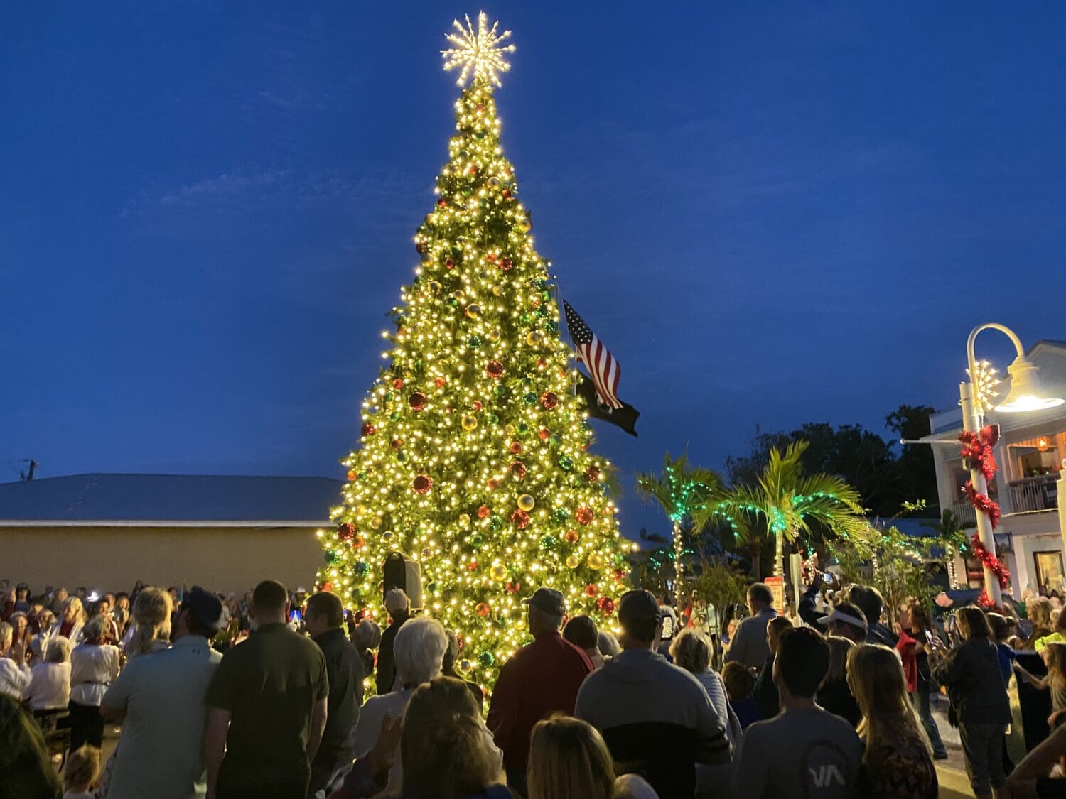 Holiday season arrives on Bridge Street AMI Sun