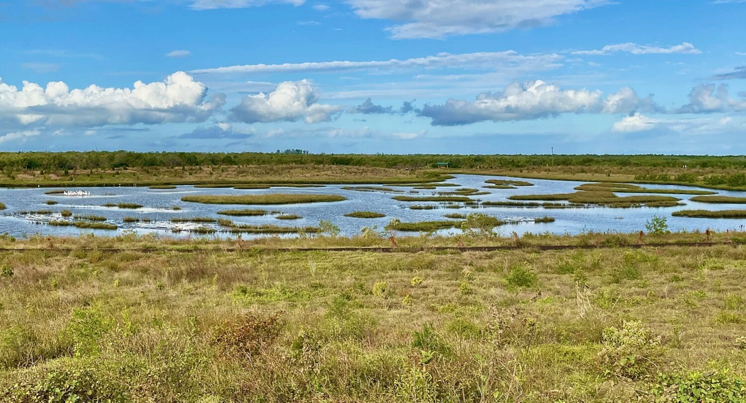Reel Time Oyster River Ecology moving restoration forward AMI Sun