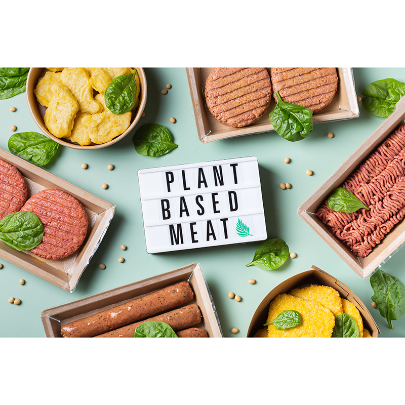 The processing challenges of mixing plant based meat substitutes