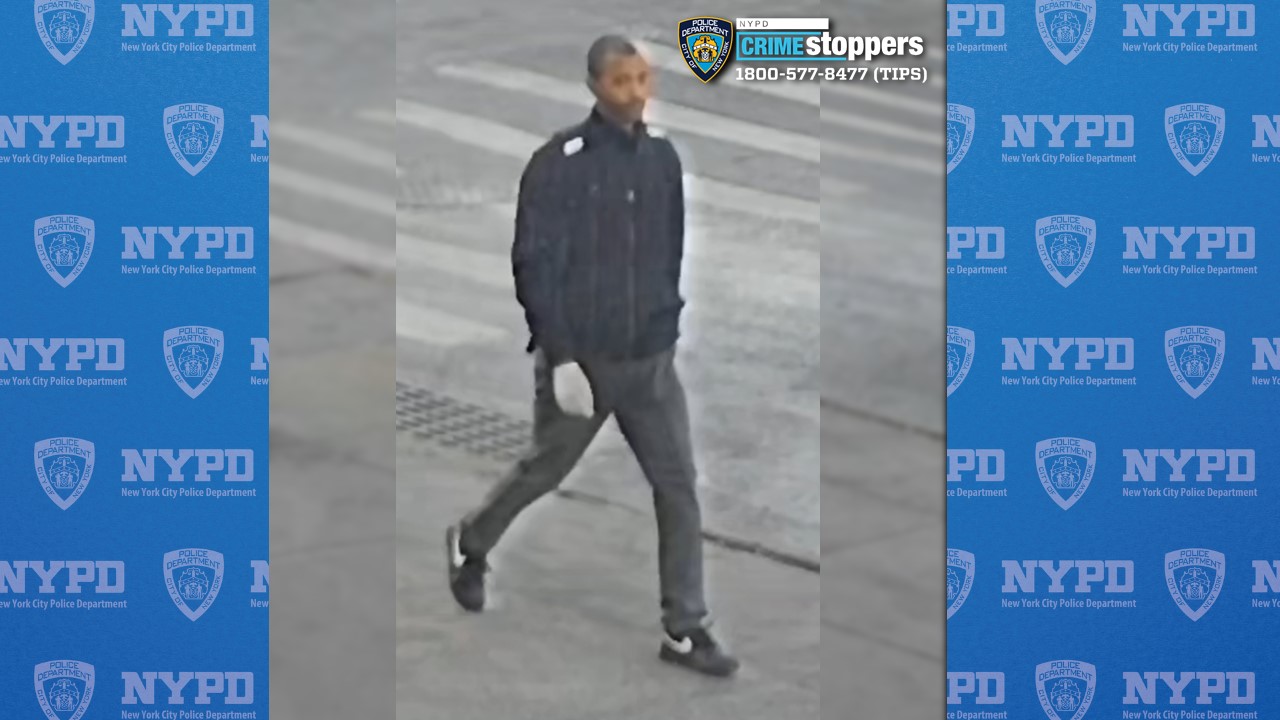 Bronx Stabbing Suspect in Custody after Teen Killed in Random Attack
