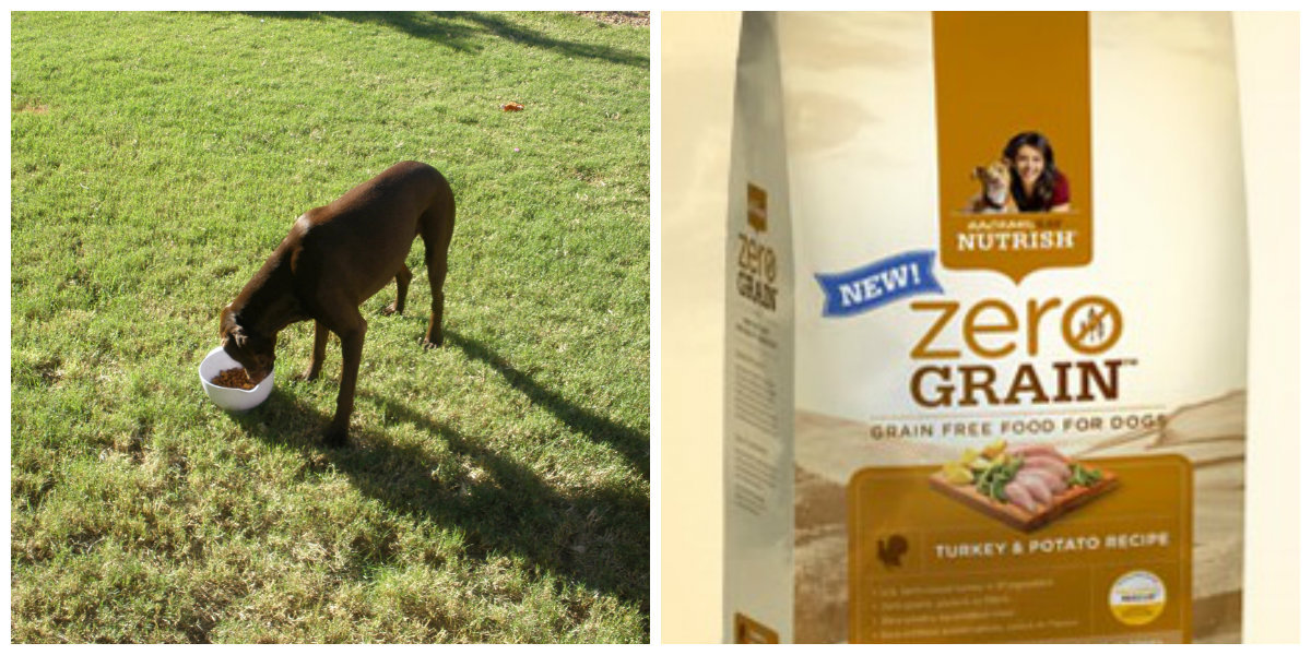 Nutrish Zero Grain Dog Food Review A Mom's Take