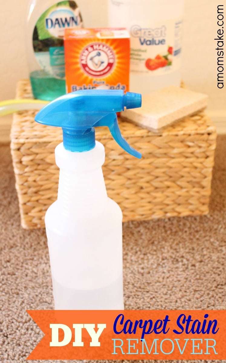 DIY Carpet Stain Remover A Mom's Take