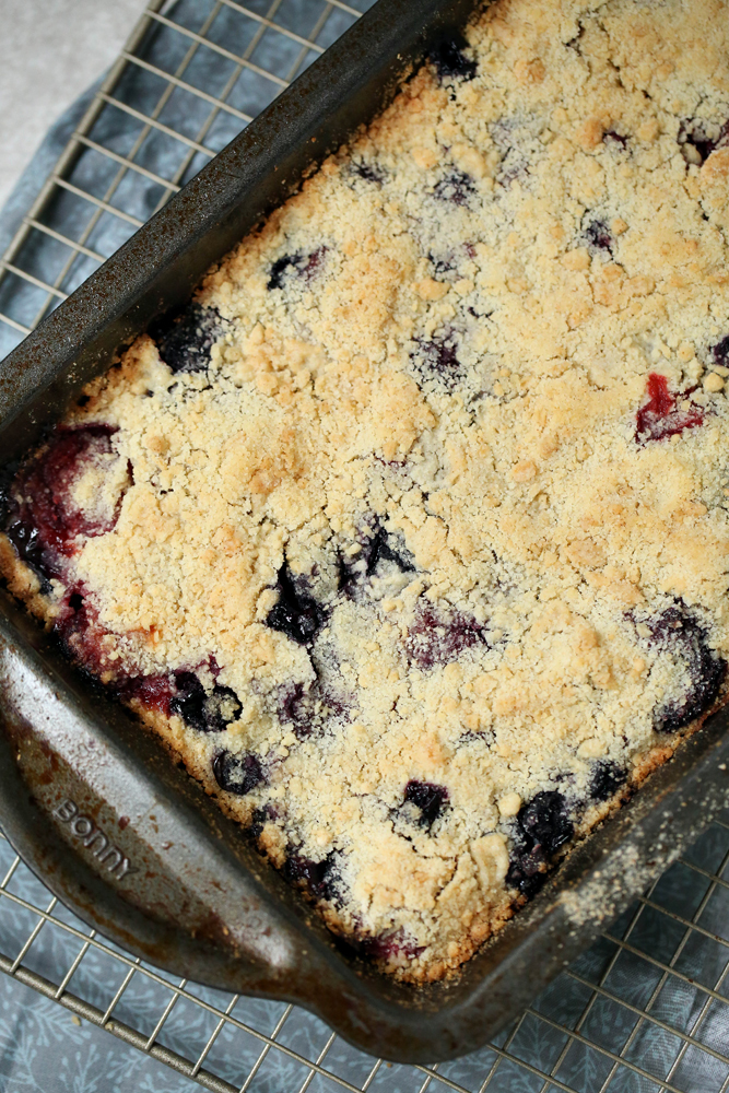 Mixed Berry Crumble Bars Recipe A Mom's Take