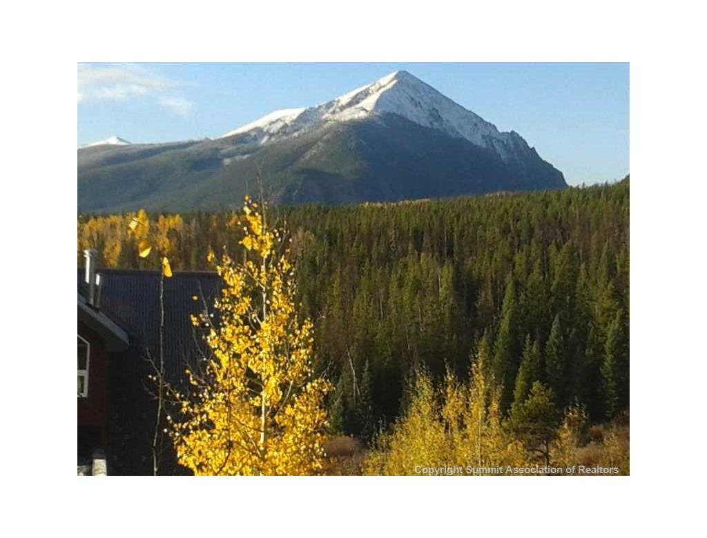 Wildernest CO Homes and Condos For Sale Real Estate Information