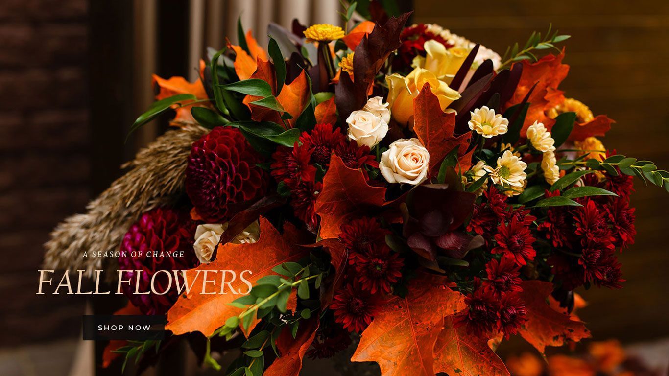 Florist Denver CO Flower Delivery Denver Colorado