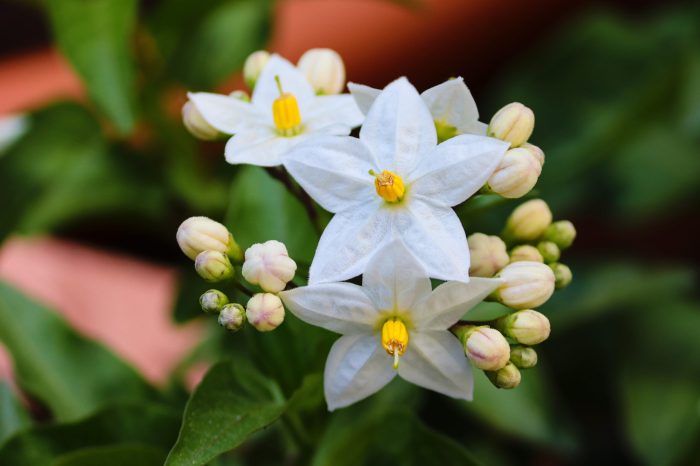 Beforeall Jasmine Example at Jeff Gates blog