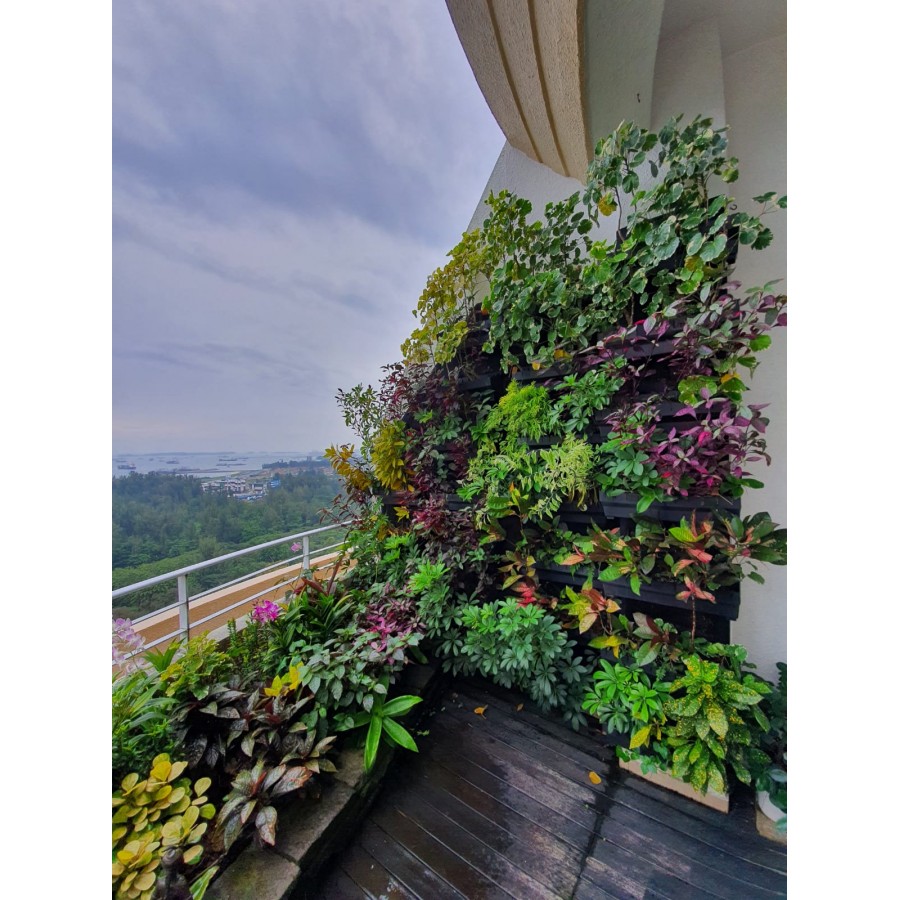 Buy Green wall Amozonia Landscape Pte Ltd