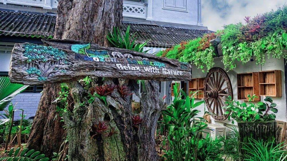 About Us Amozonia Landscape Pte Ltd