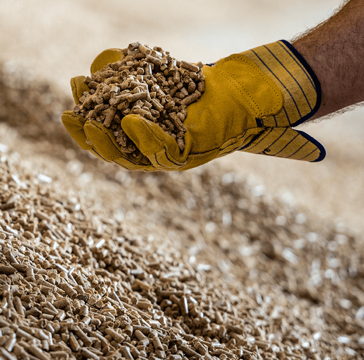 Wood Pellets For Biomass Boiler Wood Pellet Fuel Suppliers AMP