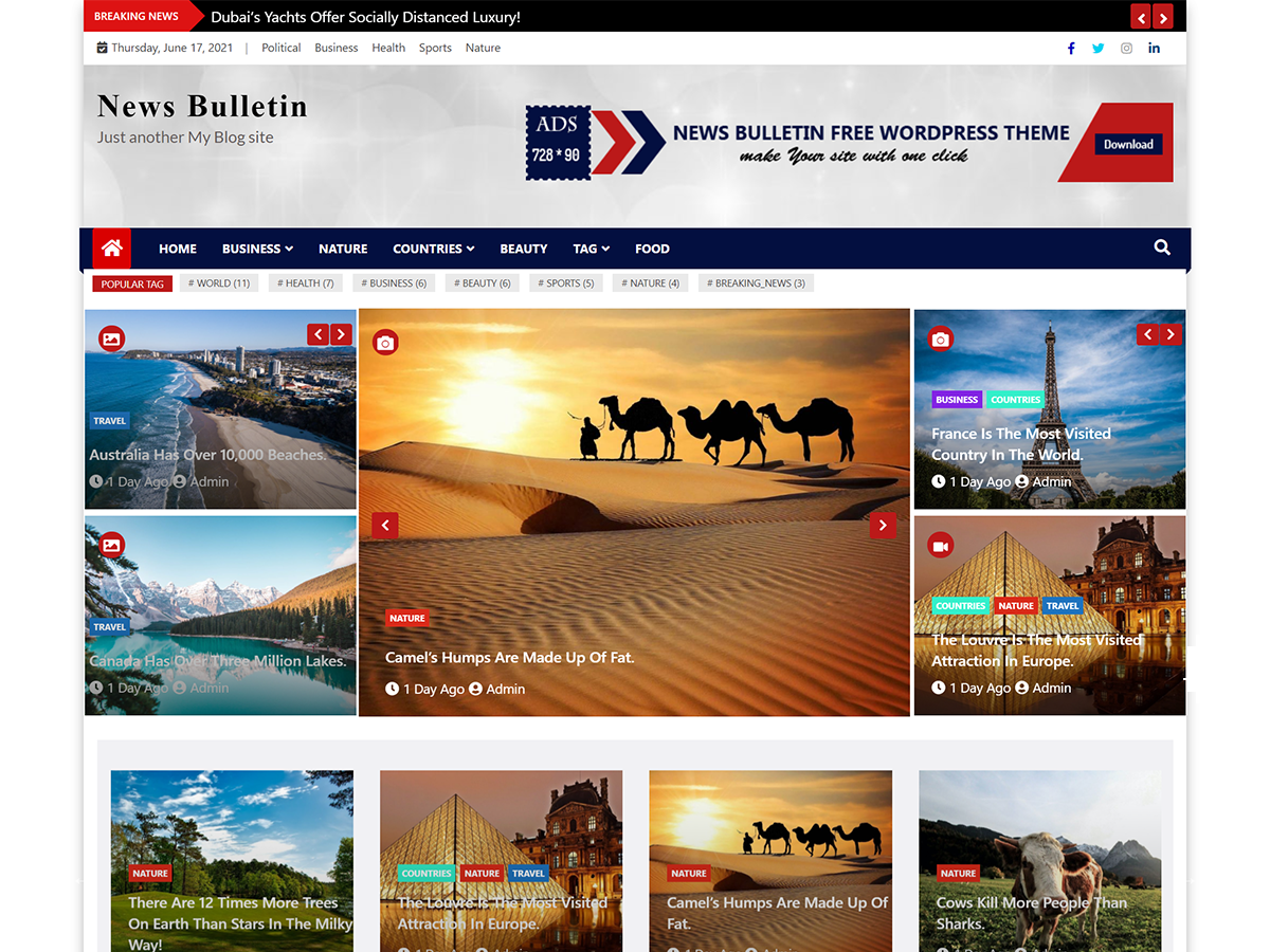 News Bulletin Ample Themes