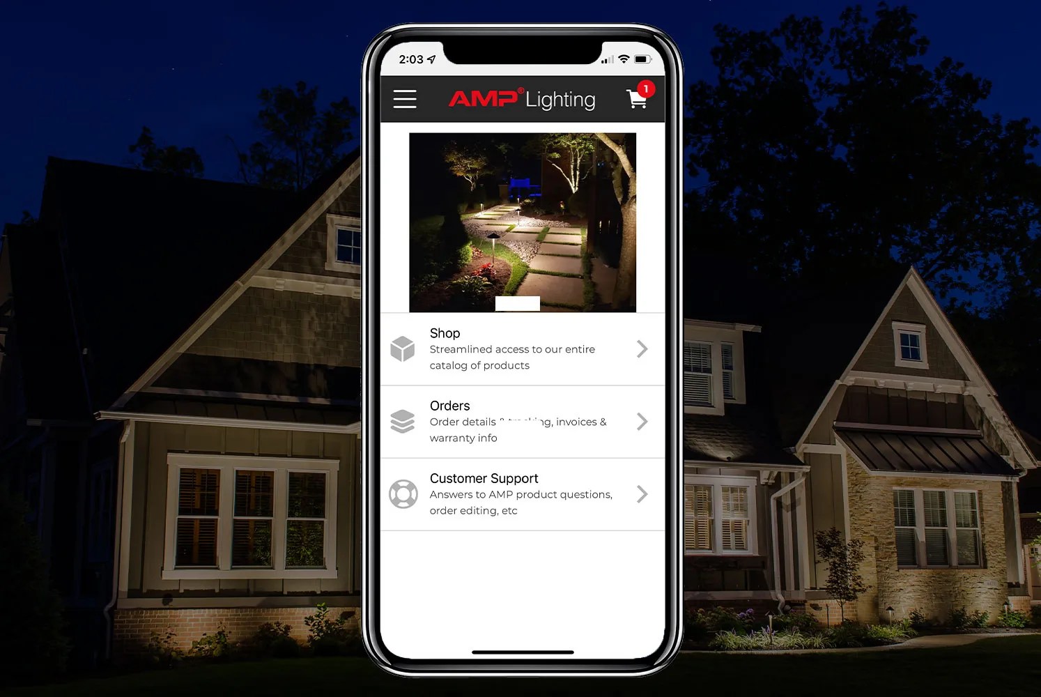 an AMP® Pro AMP® Lighting