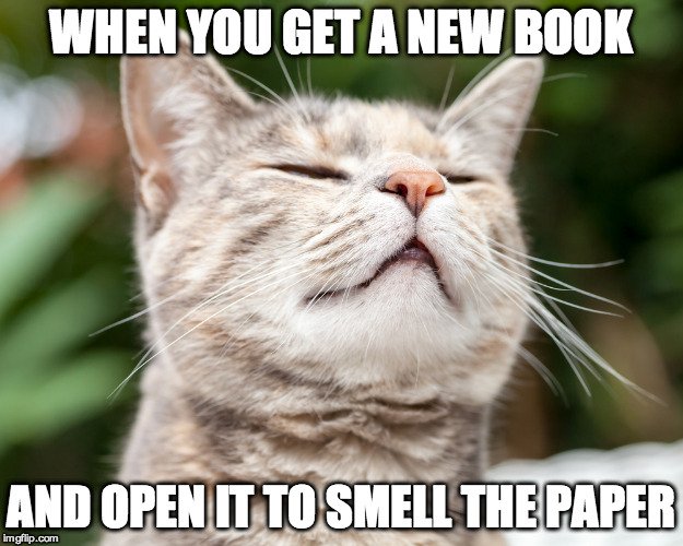 CatSmellMeme AmReading