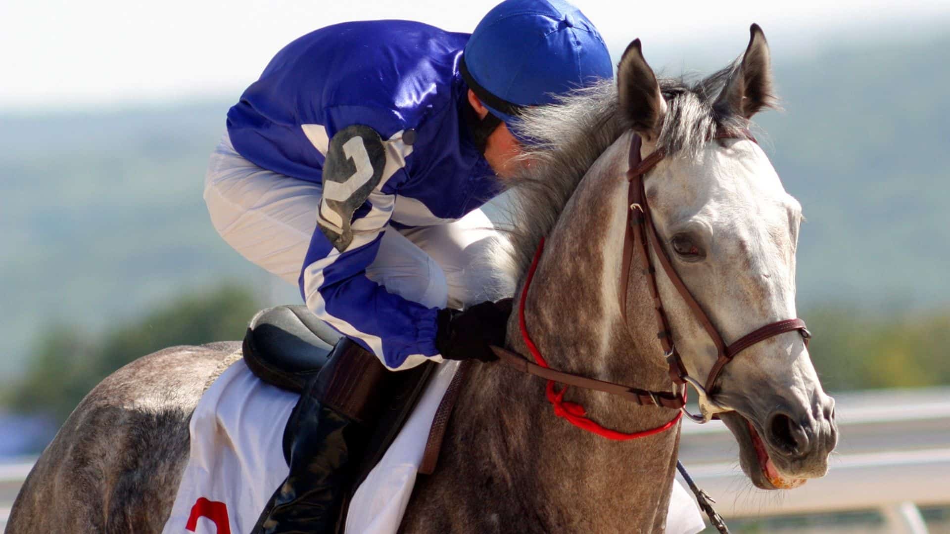 Woodbine & Albuquerque Downs Horse Racing Picks for Saturday, September