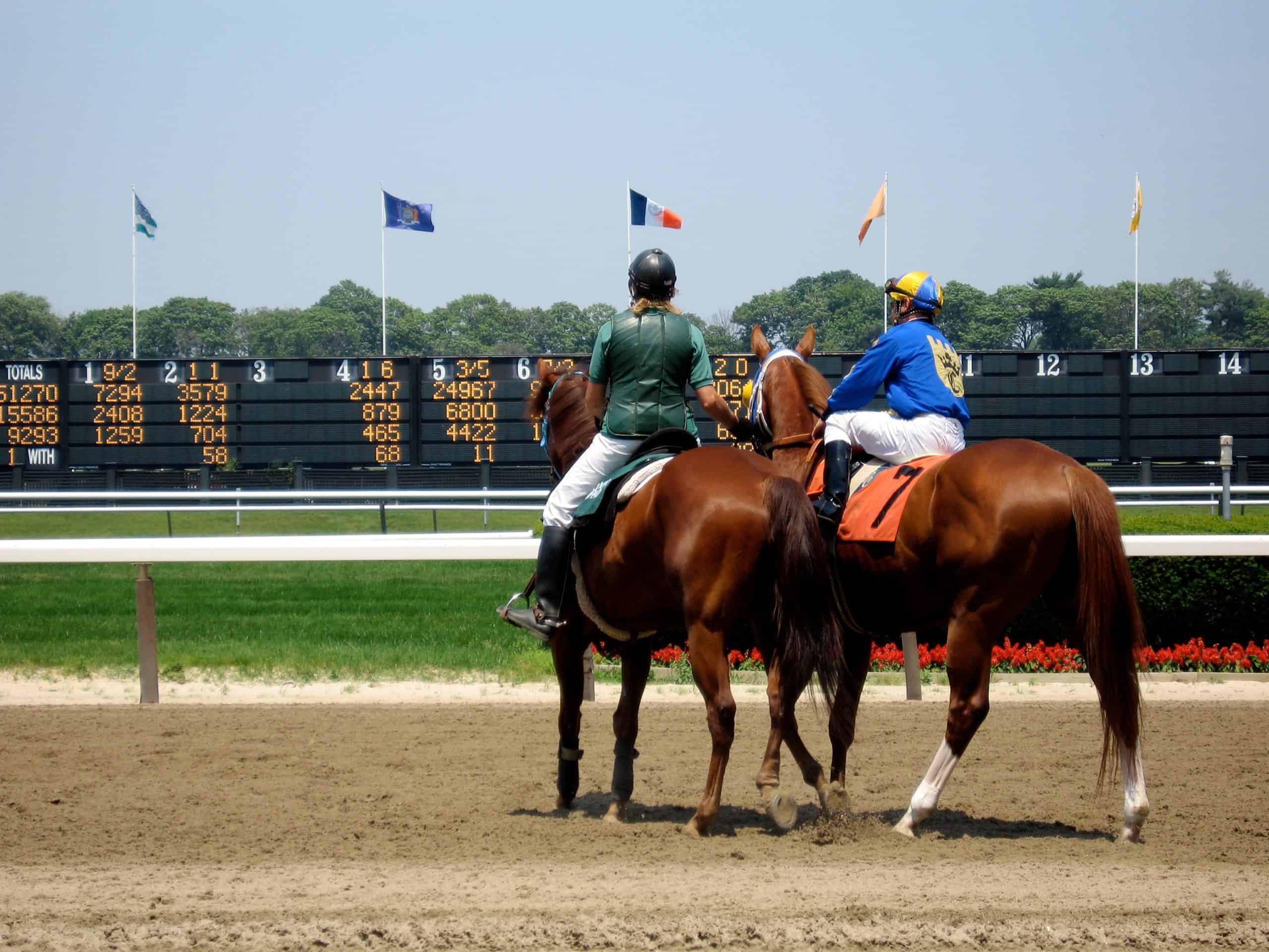 Amwager Race Track Belmont Park AmWager Online Horse Betting