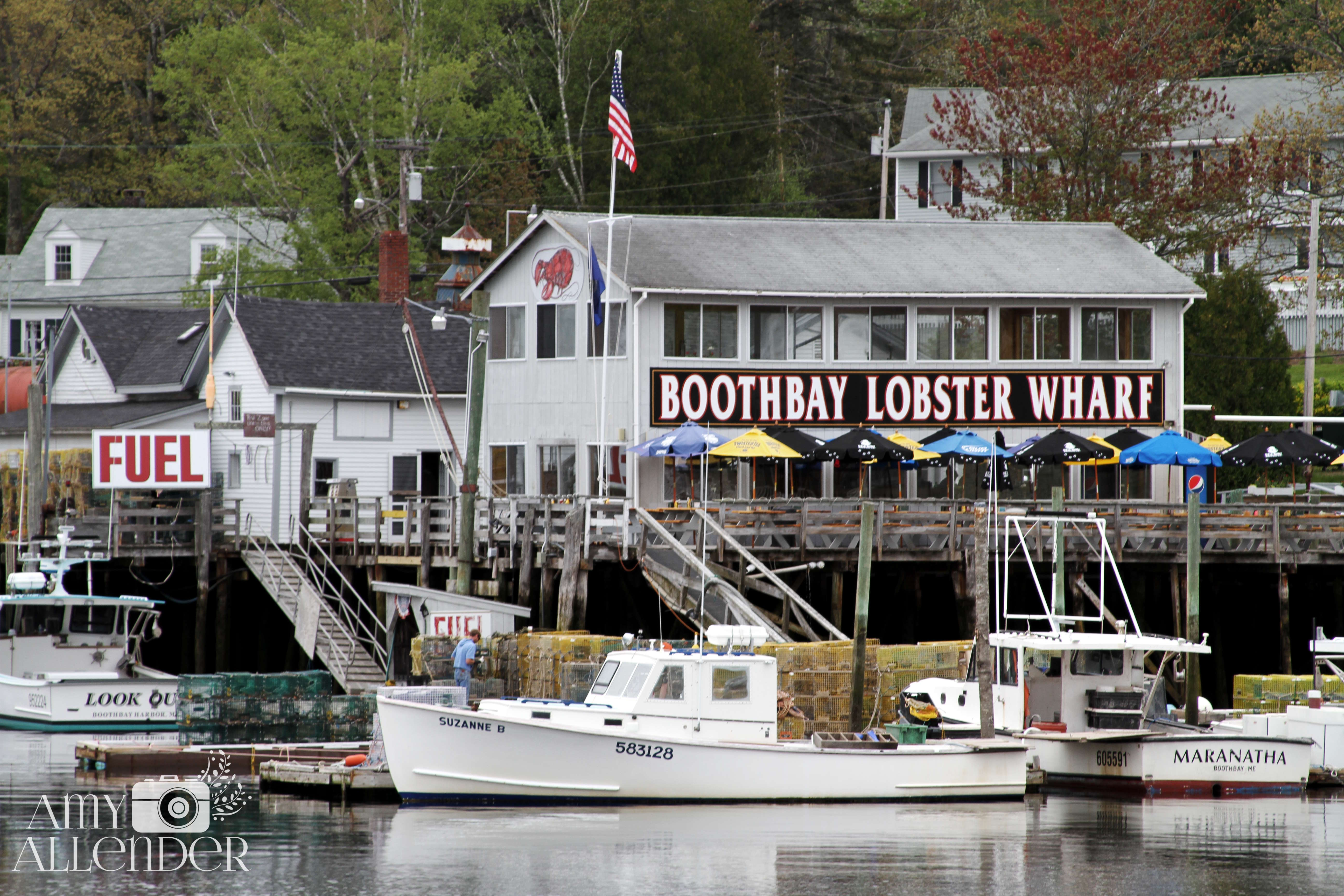 Boothbay Harbor Amy Allender
