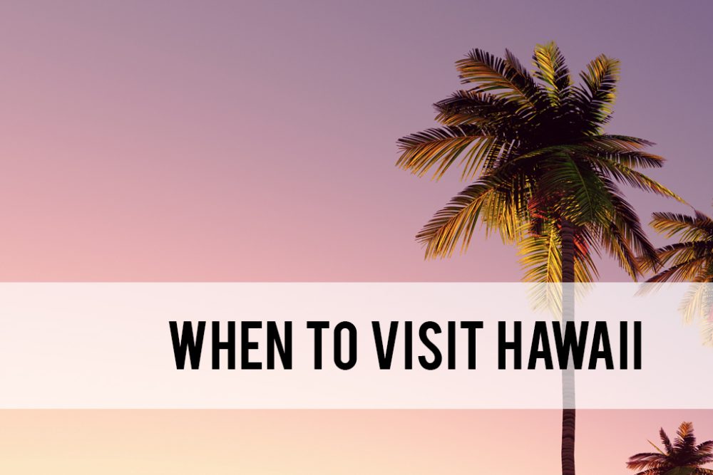 What is the best time to go to Hawaii? Amy Fillinger Hawaii Travel