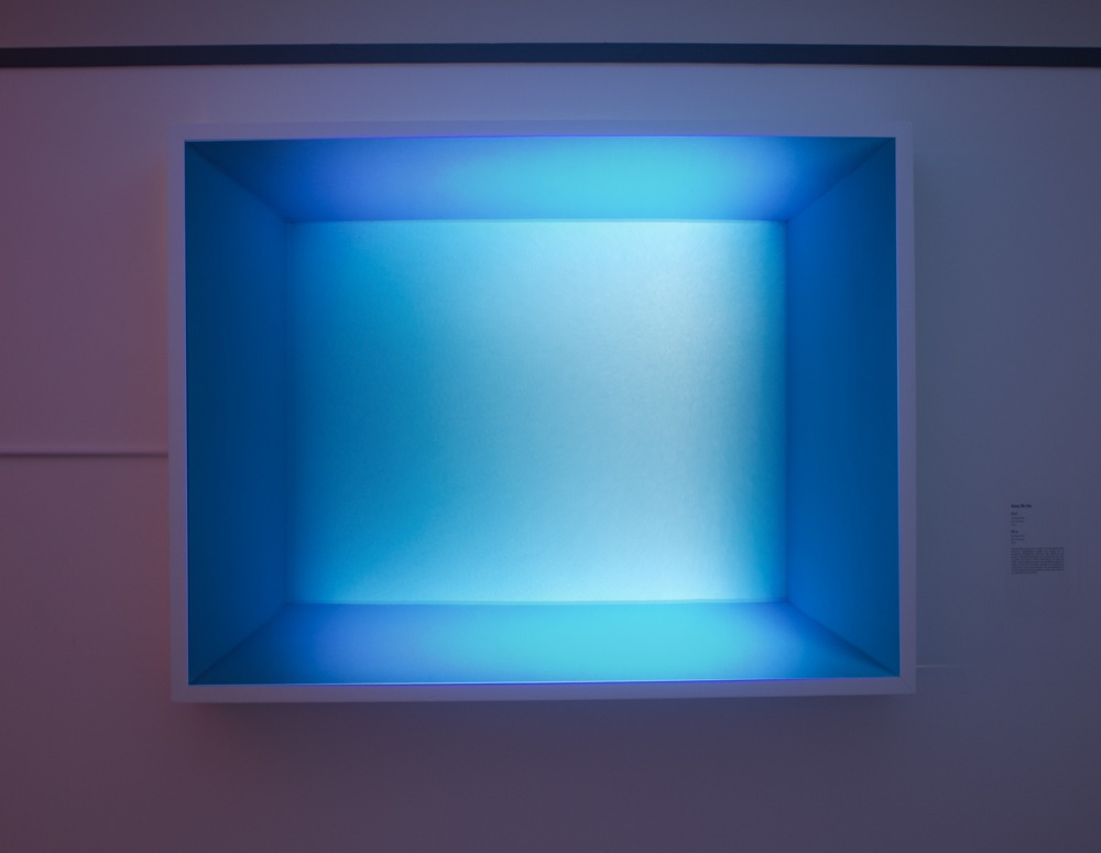 Amy Ho Blue and Red Light Boxes