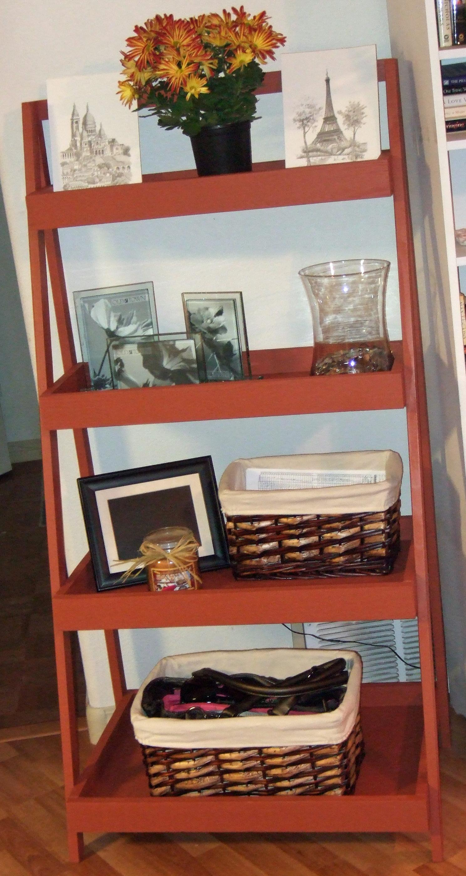 Danielle's Painter's Ladder Shelf Ana White